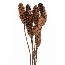 Artikel Vita kottar kottar koppar 70cm 7 st knippe