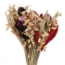 Artikel Vildblommabukett med torkade blommor i naturrosa L30cm