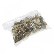 Artikel Vildlilja Naturlig Dekoration Exotiska Torkade Blommor 6-8cm 50 st