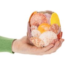 Artikel Nautisk värmeljushållare, lykta, riktiga snäckskal, dekoration för badrum, semesterstämning, 12 cm