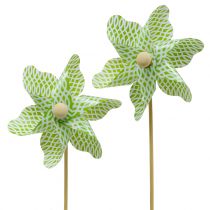 Väderkvarn Mini Grön-Vit Ø9cm 12p