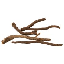 Artikel Dekorativa trägrenar och rotstockar, naturligt torkade, 18 cm, 500 g