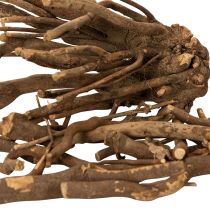 Artikel Dekorativa trägrenar och rotstockar, naturligt torkade, 18 cm, 500 g