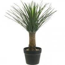 Konstgjord yuccapalm i kruka Konstgjord palmkrukväxt H52cm