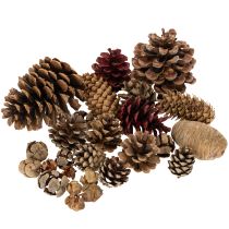 Artikel Blandade tallkottar, naturliga, för pyssel och adventsdekorationer, 2-10 stycken, 400 g