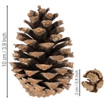 Artikel Kottmix natur 400g för pyssel och adventsdekoration