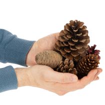 Artikel Kottmix natur 400g för pyssel och adventsdekoration
