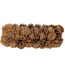 Artikel Oval tallkotteplanter, 30 cm