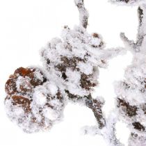 Jul gren deco gren kon gren snöade 72cm
