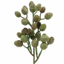 Artikel Cone Branch Green 33cm Konstgjord växt som den äkta varan!