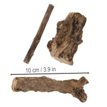 Artikel Förtrollande dekorativa trärötter för ditt hem