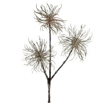Artikel Trollhassel gren champagne 45cm 3 st