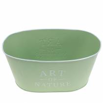 Artikel Blomskål oval zink mintgrön 27×18cm H12,5cm