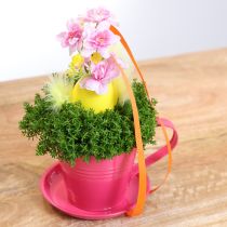 Artikel Planteringskopp med fat för kreativa trädgårdar, 11 cm, 6 stycken