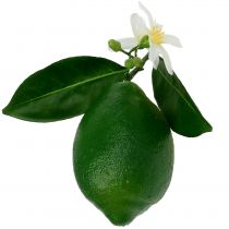 Citroner med blomma 9,5cm grön 4st