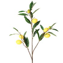 Artikel Konstgjord citrongren konstgjord citrongren 91cm 2st
