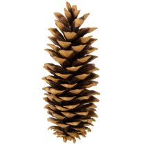 Artikel Sockerkottar naturliga 20-25cm