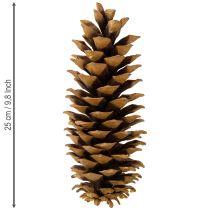 Artikel Sockerkottar naturliga 20-25cm