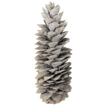 Artikel Sockerkottar vitkalkade 20cm - 30cm