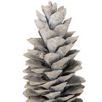 Artikel Sockerkottar vitkalkade 20cm - 30cm