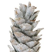 Artikel Sockerkottar vitkalkade 20cm - 30cm