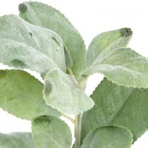 Artikel Salvia konstgjorda växter salvia blad blomsterdekoration salvia dekoration 68cm 2 st