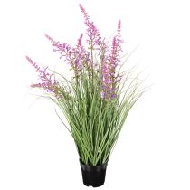 Artikel Dekorativ grönska med fina blommor för elegant rumsdesign 67 cm