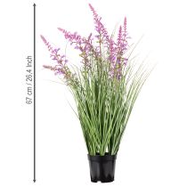 Artikel Dekorativ grönska med fina blommor för elegant rumsdesign 67 cm