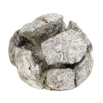 Cypresskottar 3cm vittvättade 500g
