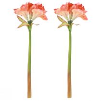 Artikel Amaryllis dekorativa blommor i orange konstgjord L55cm 2st
