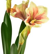 Artikel Amaryllis i en mosskula konstgjord med rosa-gula mönstrade blommor - 45 cm - Exotisk och stilren dekoration
