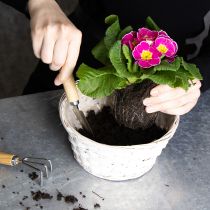 Artikel Flätad korgdekoration för mångsidig inredning, 20 cm, 8 stycken