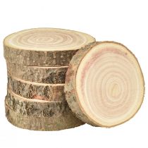 Artikel Trädskiva Paulownia blåklocka träd natur Ø12-14cm 6 st