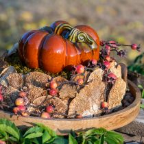 Artikel Trädsvamp naturliga dekorativa svampar torkade 6cm 1kg