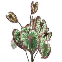 Artikel Begonia Konstgjorda växter Blad Begonia Grön Lila 62cm