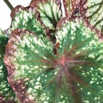 Artikel Begonia Konstgjorda växter Blad Begonia Grön Lila 62cm