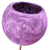 Artikel Bell Cup på pinne Exotisk torrdekoration Purple Berry 44cm 15 st