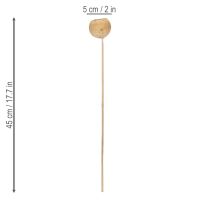 Artikel Bell Cup Mix på stjälk, naturliga exotiska sorter, 15 bitar
