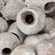 Artikel Vitkalkade bellgums 2 cm - 5 cm 500 g