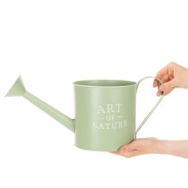 Artikel Blomkruka, dekorativ vattenkanna, mintgrön zinkplanter, Ø16,5 cm