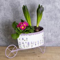 Artikel Blomkruka skottkärra med snygg lavendel-look 46 cm