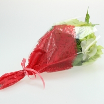 Artikel Blompåse juteröd L36cm B25cm - 12cm 50 st