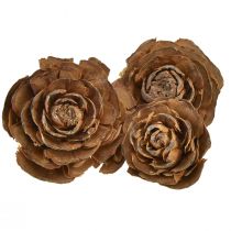 Artikel Koner av cederträ skurna som en rosencederros 4-6cm naturell 50 st