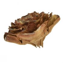 Artikel Koner av cederträ skurna som en rosencederros 4-6cm naturell 50 st