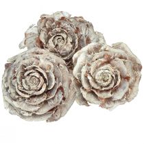 Artikel Cederkottar skurna som rosencederrosa 4-6cm vit/naturlig 50 st