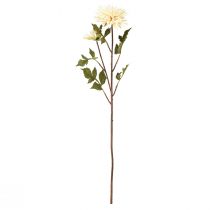 Artikel Krysantemum kräm konstgjord blomma med 2 blommor L70cm