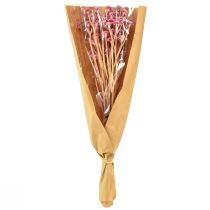 Artikel Curryört Immortelle Konstgjord Rosa L28cm 12 st 1 gäng