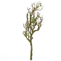 Artikel Dekorativ gren med mossa konstgjord höstdekor grågrön L78cm