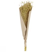 Artikel Dekorativa linfrö torkade blommor olivgröna 50g