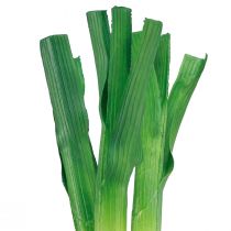 Artikel Dekorativa grönsaker vårlök grön vit Ø1cm L28cm 3 st